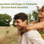 Get Ex Love Back Astrologer